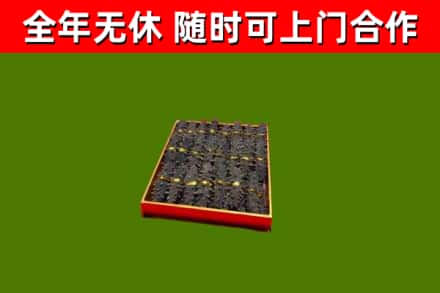 北关区回收海参